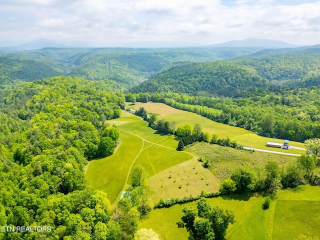 1854 Catusa Rd, Wartburg, TN 37887 - view of rural area with a mountain backdrop and a heavily wooded area