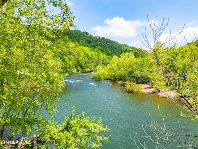 1854 Catusa Rd, Wartburg, TN 37887 - water view with a forest