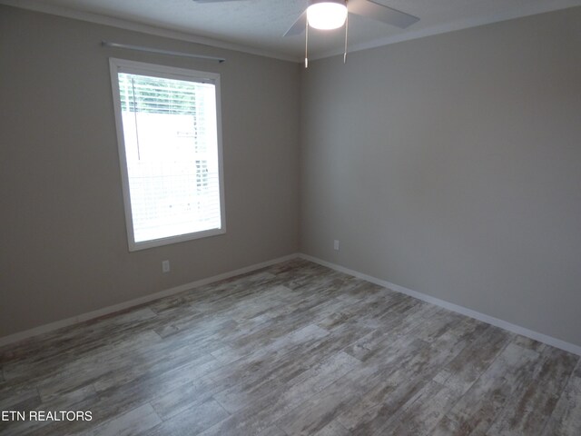 817 Hillendale Rd, Crossville, TN 38572 - photo 33