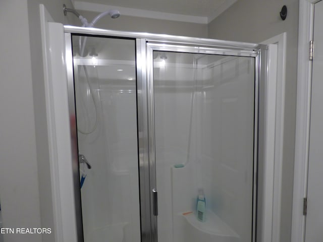 817 Hillendale Rd, Crossville, TN 38572 - photo 23
