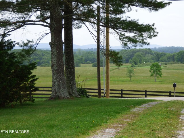 817 Hillendale Rd, Crossville, TN 38572 - photo 57