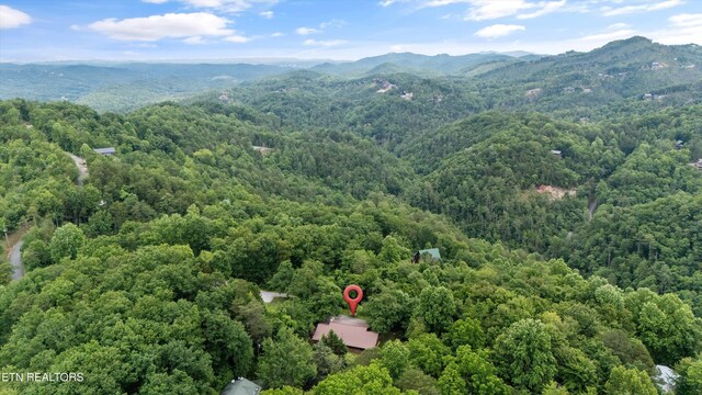 3114 Hatcher Top Rd, Sevierville, TN 37862 - photo 44