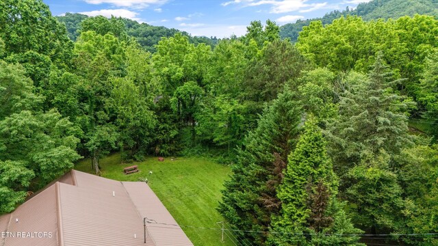 3114 Hatcher Top Rd, Sevierville, TN 37862 - photo 40