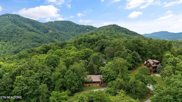 3114 Hatcher Top Rd, Sevierville, TN 37862 - photo 43