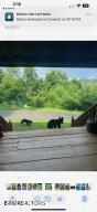 3114 Hatcher Top Rd, Sevierville, TN 37862 - photo 45