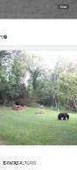 3114 Hatcher Top Rd, Sevierville, TN 37862 - photo 48