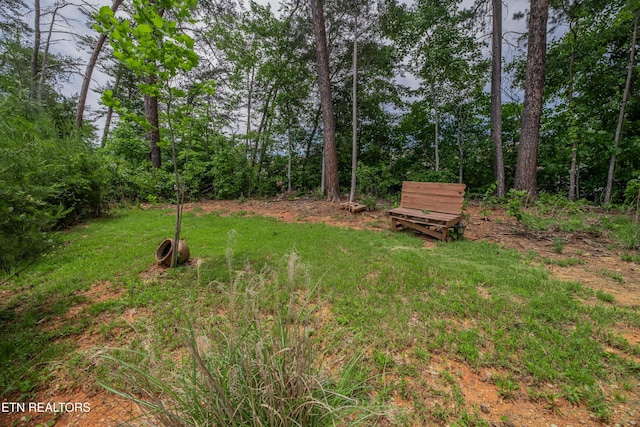 1425 Dream Catcher Dr, Knoxville, TN 37920 - photo 34