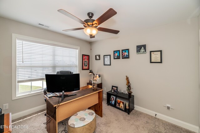 1425 Dream Catcher Dr, Knoxville, TN 37920 - photo 29