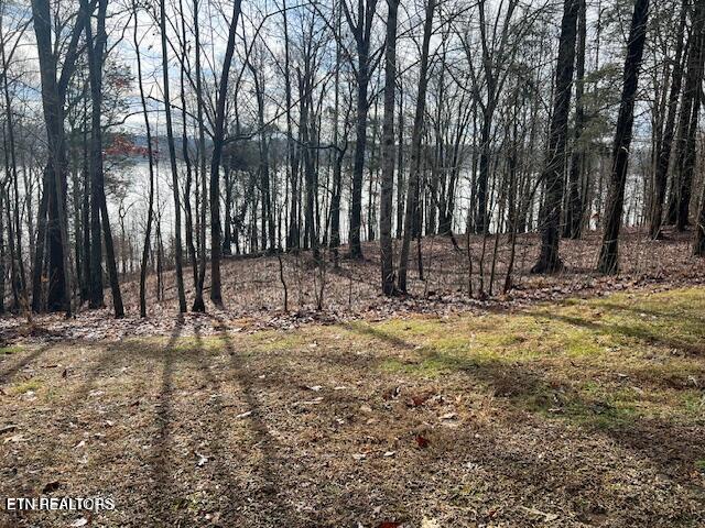 E Shore Dr, Rockwood, TN 37854 - photo 1