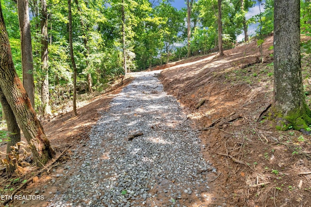 1998 Chestnut Ridge Rd Drive, Lenoir City, TN 37771 - photo 2