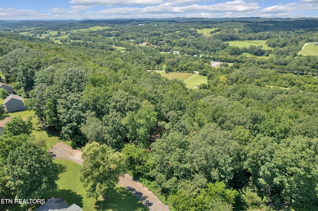 1998 Chestnut Ridge Rd Drive, Lenoir City, TN 37771 - photo 10