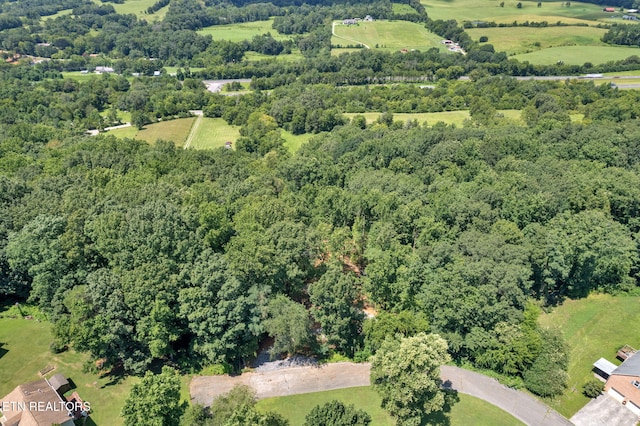 1998 Chestnut Ridge Rd Drive, Lenoir City, TN 37771 - photo 11