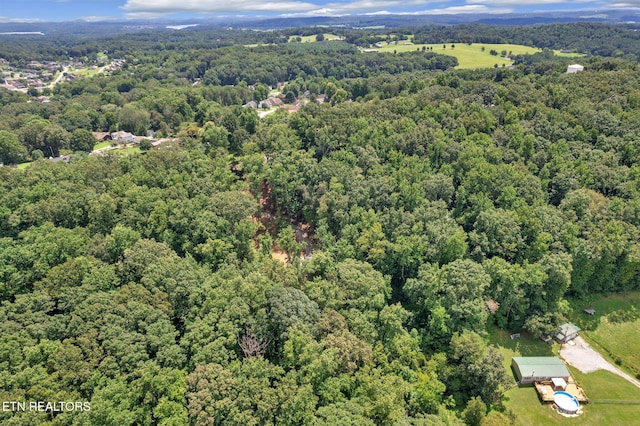 1998 Chestnut Ridge Rd Drive, Lenoir City, TN 37771 - photo 14