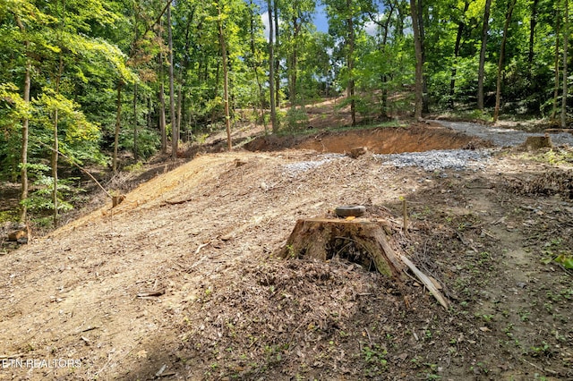 1998 Chestnut Ridge Rd Drive, Lenoir City, TN 37771 - photo 5