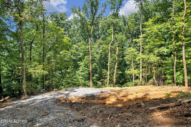 1998 Chestnut Ridge Rd Drive, Lenoir City, TN 37771 - photo 7