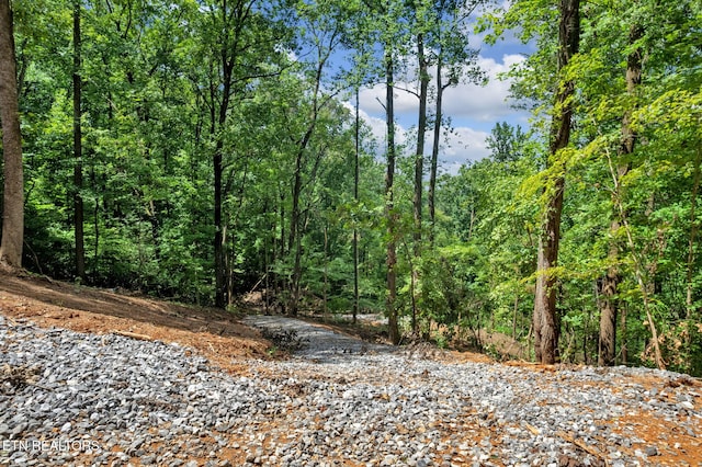 1998 Chestnut Ridge Rd Drive, Lenoir City, TN 37771 - photo 1