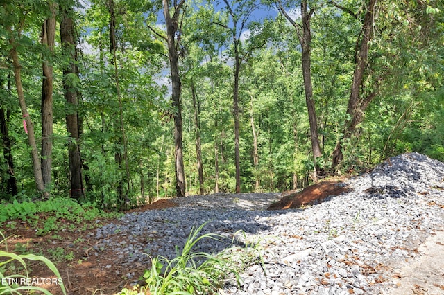 1998 Chestnut Ridge Rd Drive, Lenoir City, TN 37771 - photo 9