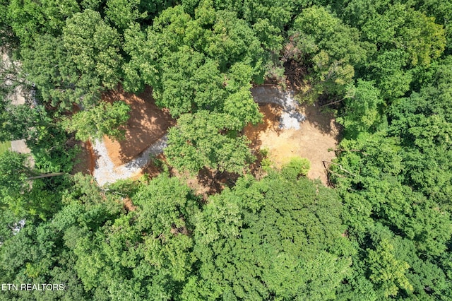 1998 Chestnut Ridge Rd Drive, Lenoir City, TN 37771 - photo 15