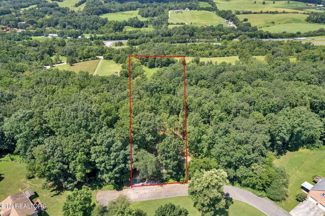 1998 Chestnut Ridge Rd Drive, Lenoir City, TN 37771 - photo 3