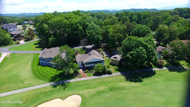 118 Toqua Club Way, Loudon, TN 37774 - aerial view of residential area