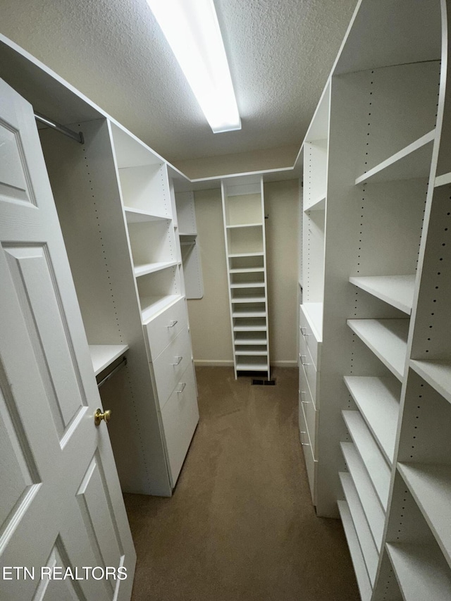118 Toqua Club Way, Loudon, TN 37774 - walk in closet with carpet flooring