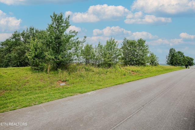 Marble Bluff Dr, Kingston, TN 37763 - photo 1