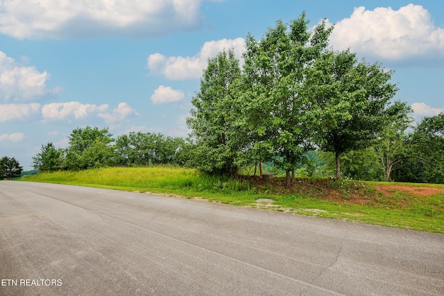 Marble Bluff Dr, Kingston, TN 37763 - photo 2