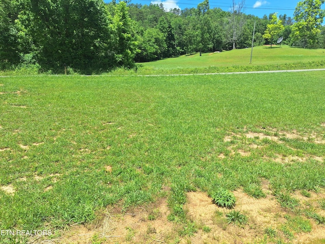 1450 Belltown Rd, Tellico Plains, TN 37385 - photo 33