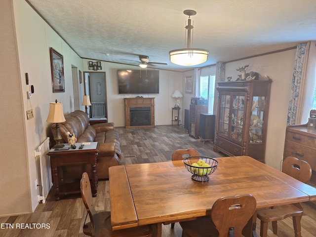 1450 Belltown Rd, Tellico Plains, TN 37385 - photo 7