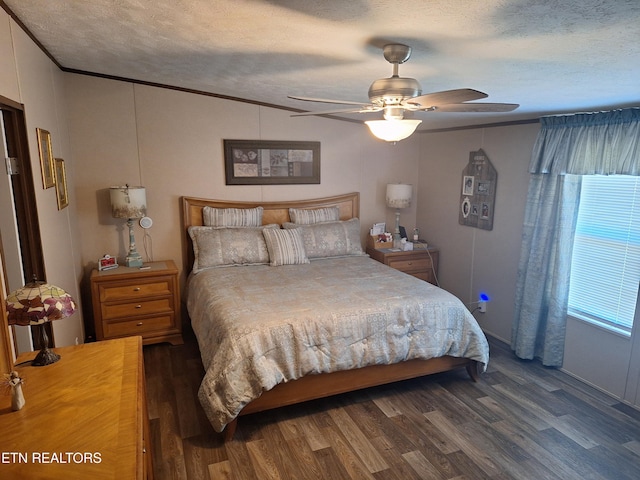 1450 Belltown Rd, Tellico Plains, TN 37385 - photo 16
