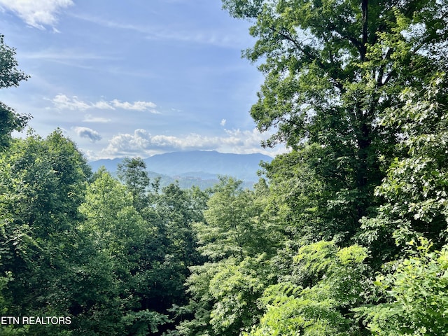 459 Judy Top Ln, Sevierville, TN 37876 - photo 30
