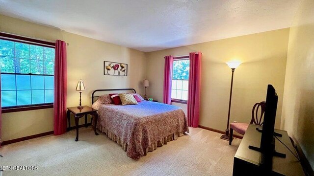 119 Winslow Ln, Crossville, TN 38558