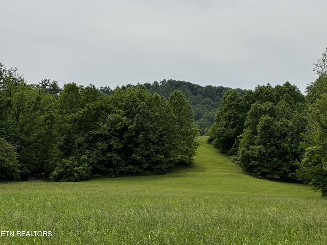 1309 Licklog Hollow Rd, Sevierville, TN 37876 - view of woods