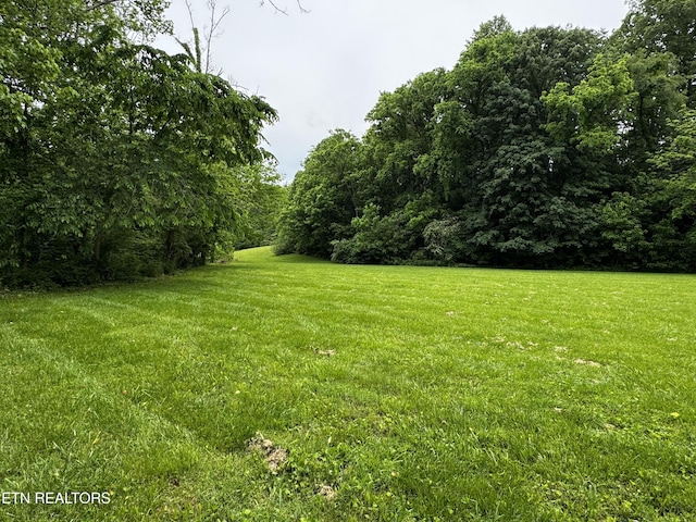 1309 Licklog Hollow Rd, Sevierville, TN 37876 - view of green lawn