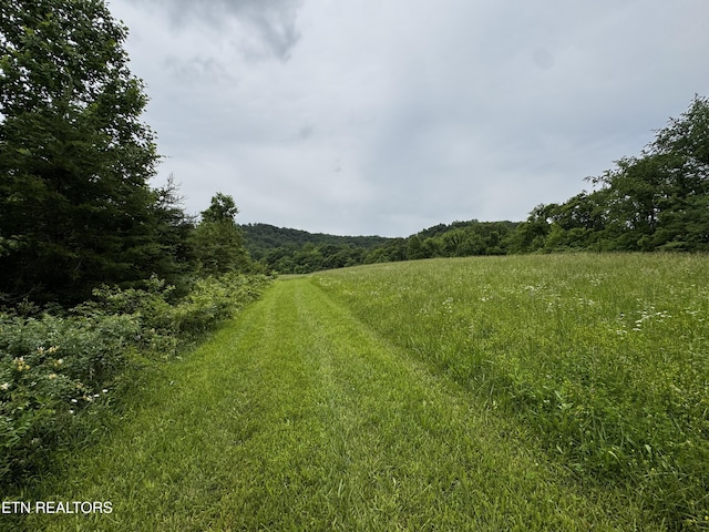 1309 Licklog Hollow Rd, Sevierville, TN 37876 - view of yard featuring a wooded view