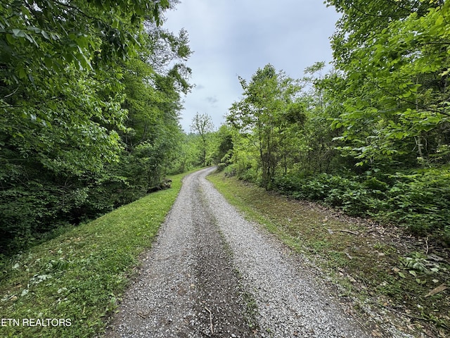 1309 Licklog Hollow Rd, Sevierville, TN 37876 - view of street with a wooded view