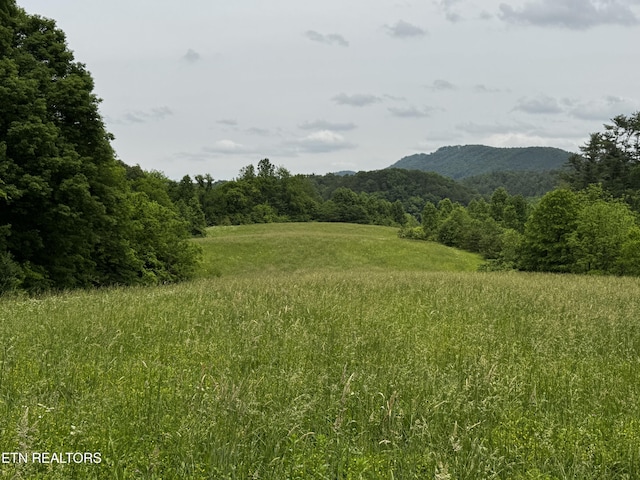 1309 Licklog Hollow Rd, Sevierville, TN 37876 - mountain view with a heavily wooded area