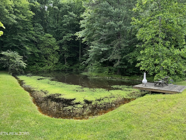 1309 Licklog Hollow Rd, Sevierville, TN 37876 - view of green lawn with a deck and a forest view