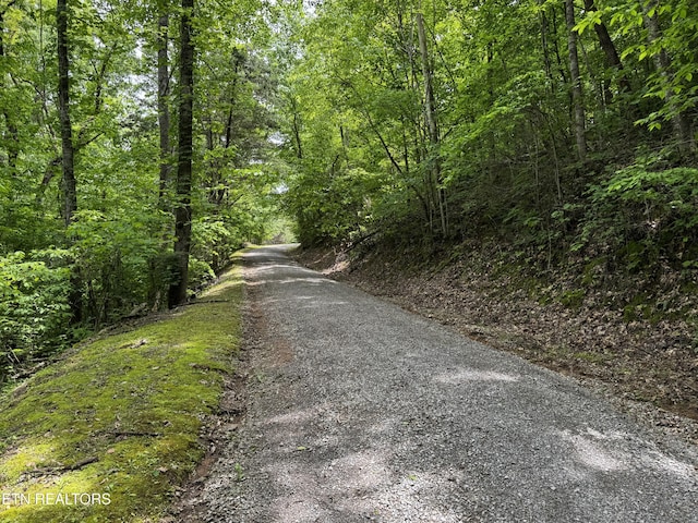 1309 Licklog Hollow Rd, Sevierville, TN 37876 - view of dirt / gravel road featuring a forest view