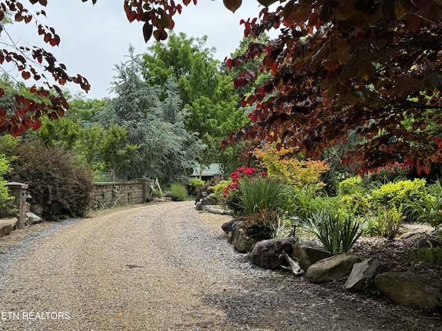 1309 Licklog Hollow Rd, Sevierville, TN 37876 - view of dirt / gravel road