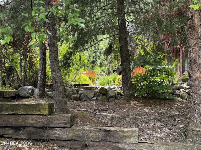 1309 Licklog Hollow Rd, Sevierville, TN 37876 - view of wooded area