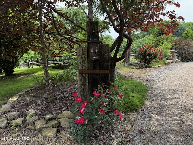 1309 Licklog Hollow Rd, Sevierville, TN 37876 - exterior view