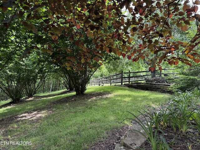 1309 Licklog Hollow Rd, Sevierville, TN 37876 - view of yard