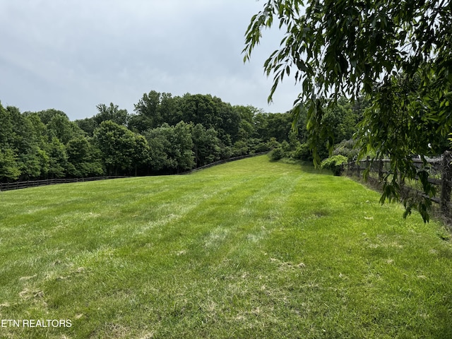 1309 Licklog Hollow Rd, Sevierville, TN 37876 - view of yard featuring a forest view and a rural view