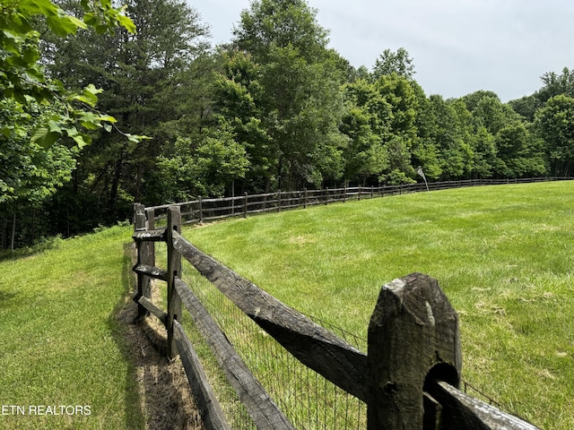 1309 Licklog Hollow Rd, Sevierville, TN 37876 - view of yard featuring a wooded view