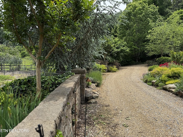 1309 Licklog Hollow Rd, Sevierville, TN 37876 - view of street with a view of trees