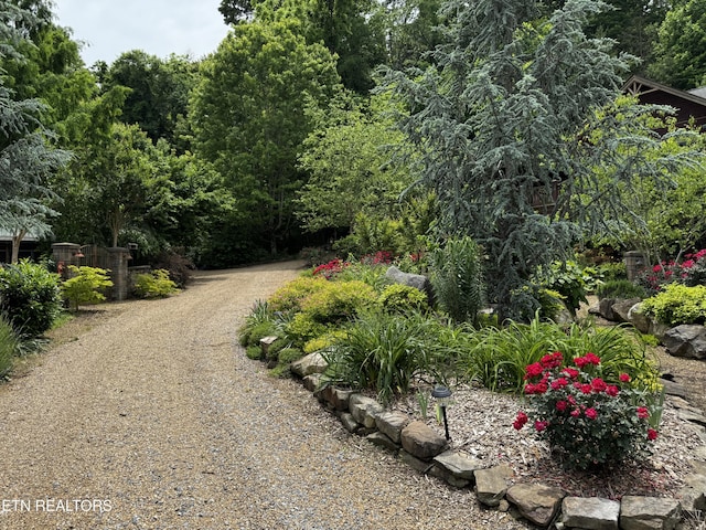 1309 Licklog Hollow Rd, Sevierville, TN 37876 - view of street