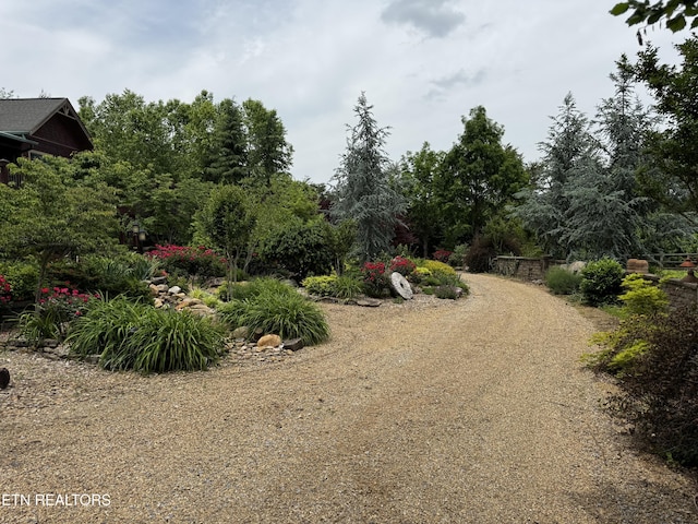 1309 Licklog Hollow Rd, Sevierville, TN 37876 - view of road featuring view of scattered trees