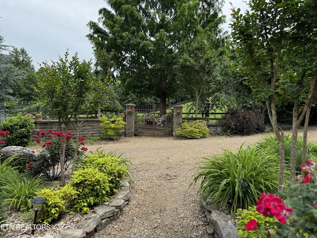 1309 Licklog Hollow Rd, Sevierville, TN 37876 - view of yard featuring a gate