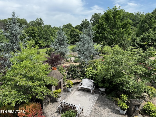 1309 Licklog Hollow Rd, Sevierville, TN 37876 - view of patio / terrace